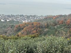 -东山风景区(洞庭东山)
