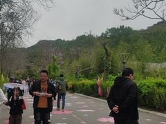 -燕塞湖鸟语林景区