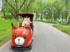 -南海子公园