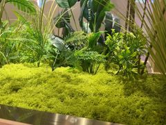 -八合里潮汕鲜牛肉火锅(万科里店)
