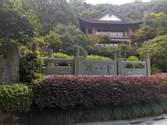 -十八棵（老龙井）御茶园(老龙井店)