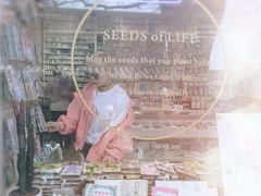 店内环境-一朵一果(南锣鼓巷店)