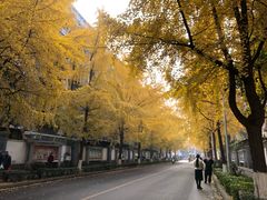 -四川大学(望江校区)
