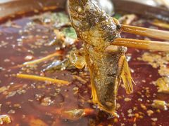 -谭记石锅鱼府(三道堰店)