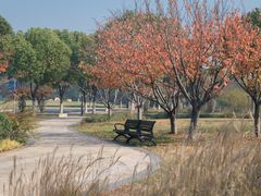 -羊山湖公园