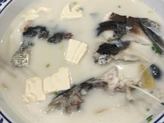 -全乐鱼馆·淳牌有机鱼直营店
