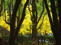 -上海交通大学(闵行校区)