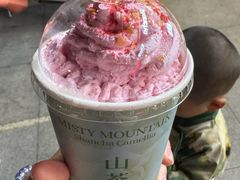 -雾与山茶(大禹城店)