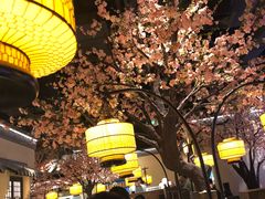 大堂-绿茶餐厅(昌平悦荟店)