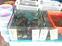 水产区-沙头涌渔栏海鲜餐厅