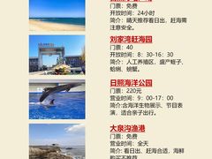 -日照灯塔风景区