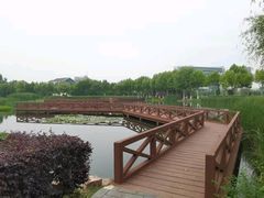 -金银湖国家城市湿地公园