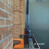 躺赢鸭拿铁,今天你躺平了吗?☕️