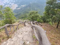 -梧桐山风景名胜区