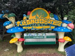 -大连森林动物园