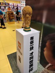 -乐高授权专卖店(朝阳大悦城店)