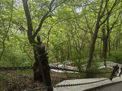 -崆峒山景区