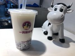 -一只酸奶牛(八一路店)