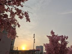 -首开·龙湖成都西宸天街