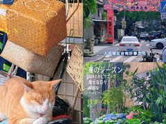 -溪岸路花鸟市场