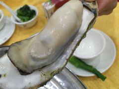 -蚝专家(北滘店)