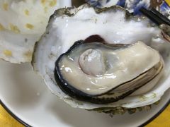-蚝家菜馆(沙井店)