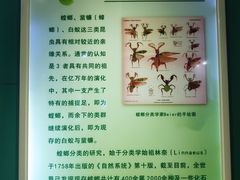 -上海昆虫博物馆