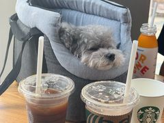 -星巴克臻选(湖滨道店)