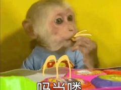 -钟掌勺忘不了地道湘菜(新天地假日广场店)
