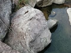 -楠溪江风景名胜区