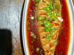 -大秦面庄(青松路店)