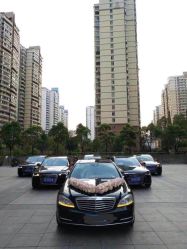 点击看大图 -蚂蚁婚车