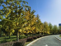 -北京园博大酒店