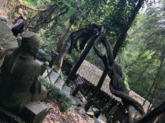 -严子陵钓台(富春江小三峡)