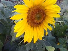 -艾溪湖湿地公园