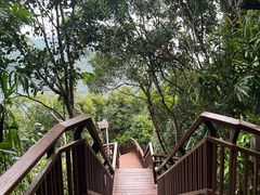 -三亚亚龙湾人间天堂鸟巢度假村