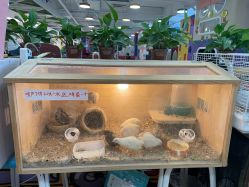 -汇乐童儿童主题乐园(李老社区商业中心店)