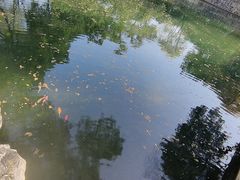 -柳侯公园