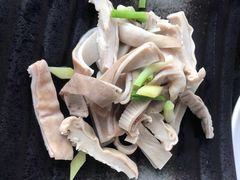 -云中小雅