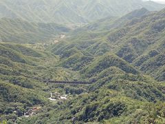 -大岭沟猕猴桃谷风景区