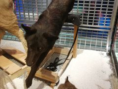 -凯德广场(武胜路店)