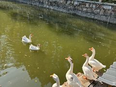 -苏州碑刻博物馆