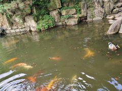 -白马涧龙池景区