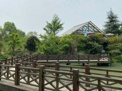 -桤木河湿地公园