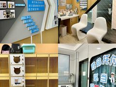 -pd派德宠物中心医院24H急重症·眼科中心·血液透析中心(嵩山北路店)