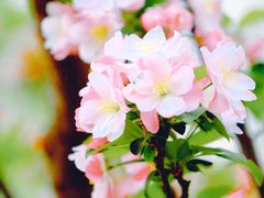 -海棠花溪(元大都城垣遗址公园)