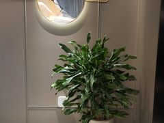 -苏州古运河逸衡酒店