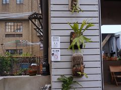 -nodcafe(M50创意园店)