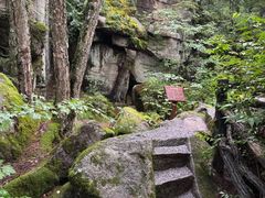 -汤旺河林海奇石景区