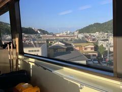 -伊豆观海列车
